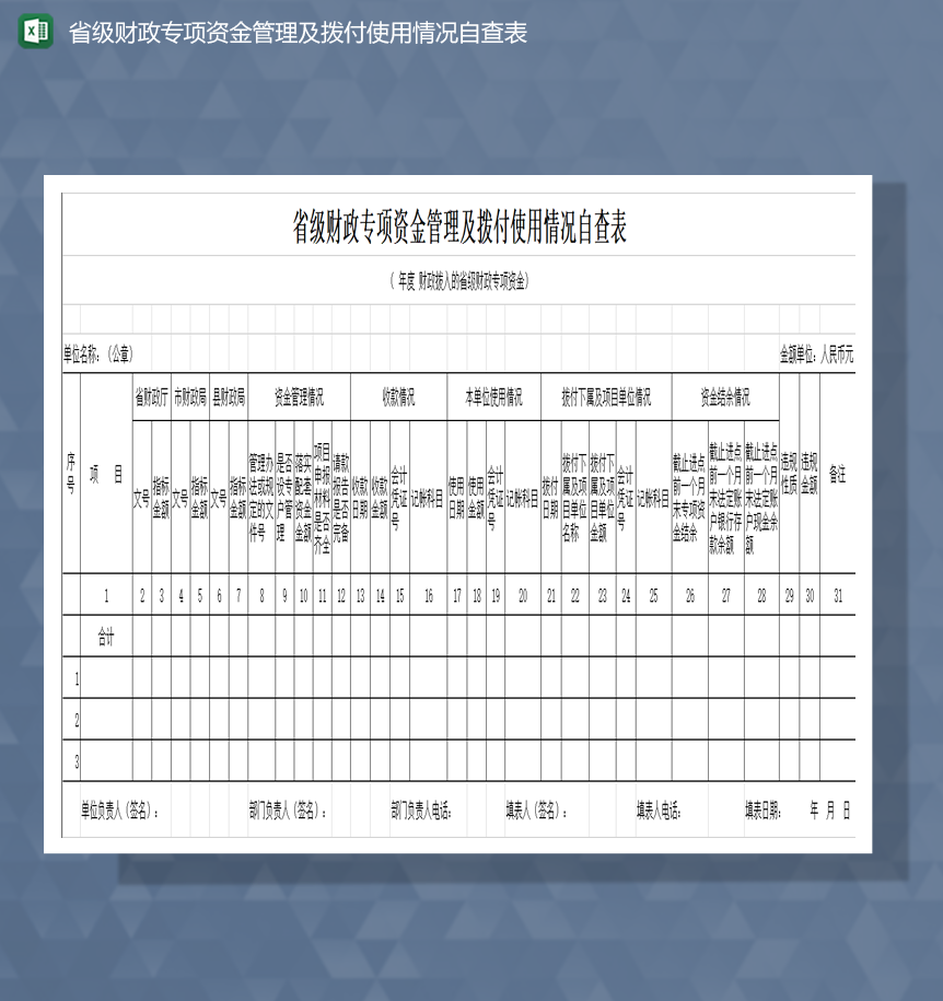 省级财政专项资金管理及拨付使用情况自查表Excel模板